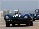 1955 Jaguar D-Type
