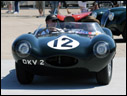 1955 Jaguar D-Type