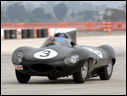 1955 Jaguar D-Type