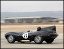 1955 Jaguar D-Type