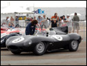 1955 Jaguar D-Type