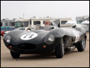 1955 Jaguar D-Type