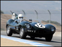 1955 Jaguar D-Type
