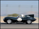 1955 Jaguar D-Type