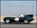 1955 Jaguar D-Type