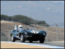 1955 Jaguar D-Type