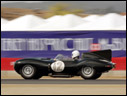 1955 Jaguar D-Type