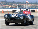 1955 Jaguar D-Type