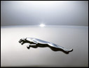2009 Jaguar XF