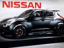 2013 Nissan Juke-R