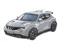 2013 Nissan Juke-R