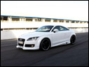 2008 PPI PS TT