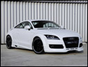2008 PPI PS TT