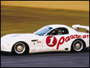 2001 Panoz Esperante GTS