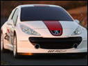 2006 Peugeot 207 RCup Concept