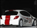 2006 Peugeot 207 RCup Concept