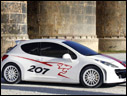2006 Peugeot 207 RCup Concept