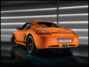 2009 Porsche Cayman S Sport