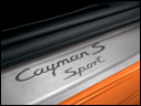 2009 Porsche Cayman S Sport