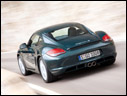 2010 Porsche Cayman S