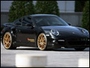 2009 Roock 911 Turbo RST 600 LM