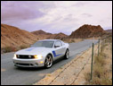 2010 Roush 427R Mustang