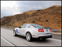 2010 Roush 427R Mustang