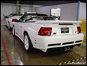 2003 Saleen Mustang SA-20