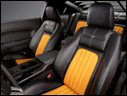 2007 Saleen Parnelli Jones Limited Edition Mustang
