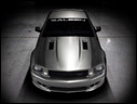 2008 Saleen S302E Mustang
