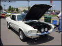 1967 Shelby Mustang GT350