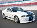 2011 Shelby GT350