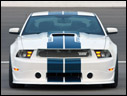 2011 Shelby GT350
