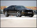 2007 Steeda GT500