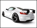 2006 Techart Cayman GTsport