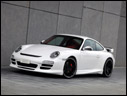 2009 Techart 911 Carrera 4S