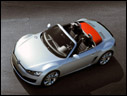 2009 Volkswagen Concept BlueSport