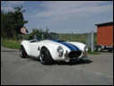 2000 Weineck Cobra